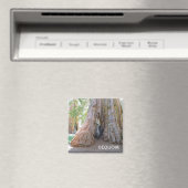 Cooler Riese Sequoia Magnet! Magnet (In Situ (Geschirrspüler))