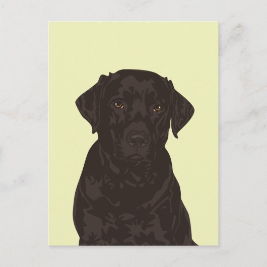 Cooler Schwarzer Labrador Retriever Hund Postkarte (Vorderseite)