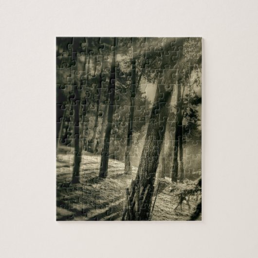 Cooler Schwarzweiss-Wald Sun Rays Natur-Geschenke Puzzle (Vertikal)