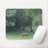 Cooler Serenity - mousepad (Mit Mouse)