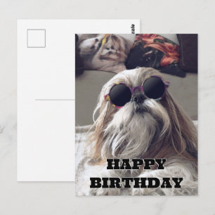 Cooler Shih Tzu Langhaar Vintage-Foto Geburtstag Postkarte