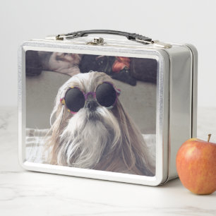 Cooler Shih Tzu Langhaar Vintage Sonnenbrille Foto Metall Brotdose