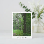Cooler Sommer Abend Postkarte (Stehend Vorderseite)
