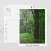 Cooler Sommer Abend Postkarte (Vorne/Hinten)
