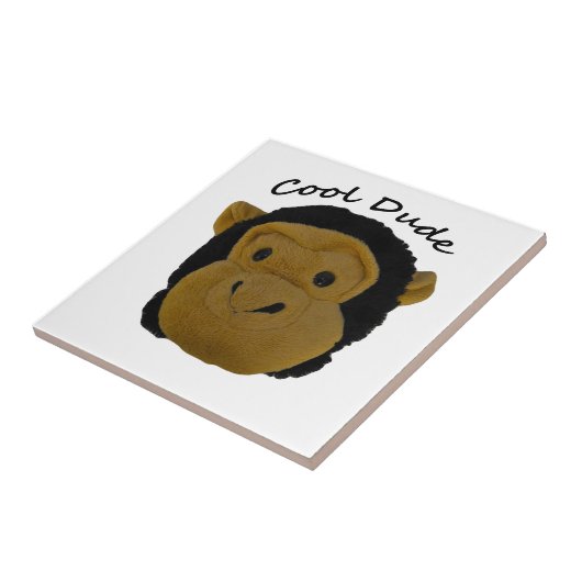 Cooler Typ Fliese (Seite)