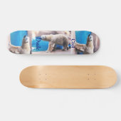 Cooler Typ-polarer Bärn-Eber Skateboard (Horizontal)