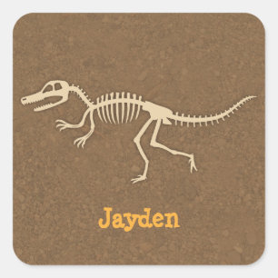 Cooler Velociraptor-Dinosaur-Knochen Jungen Person Quadratischer Aufkleber
