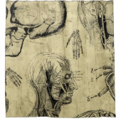 Cooler Vintager Anatomie-Duschvorhang Duschvorhang (Vorderseite)