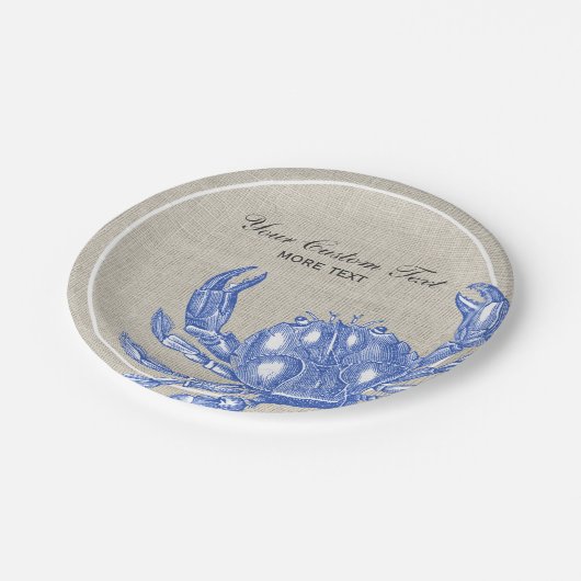 Cooler Vintager blaue Pappteller (Schrägansicht)