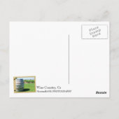 Cooler Weintrub Postcard! Postkarte (Rückseite)