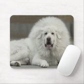 cooler weißer tibetanischer Mastiff Mousepad (Mit Mouse)