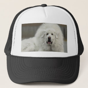 cooler weißer tibetanischer Mastiff Truckerkappe