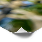 Cooles Affen-Foto Poster (Ecke)