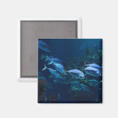Cooles Aquarium Fisch Dunkles Wasser Magnet (Vorderseite/Rückseite)