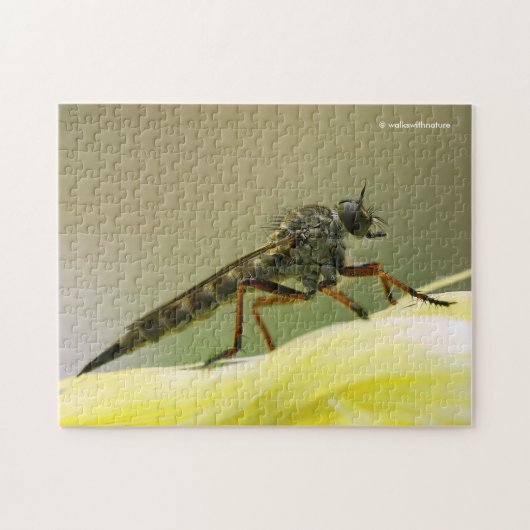 Cooles Assassin Fly Bug Insekt Puzzle (Horizontal)