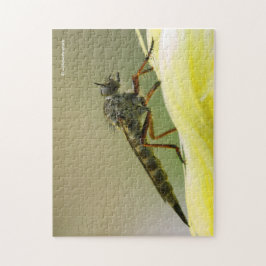 Cooles Assassin Fly Bug Insekt Puzzle