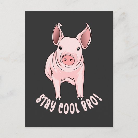 Cooles Bro Funny Pig bleibe Postkarte (Vorderseite)