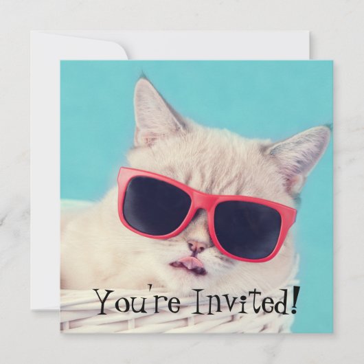 Cooles Cat Party Einladung (Vorderseite)