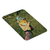 Cooles Gefriereis Magnet (Rechte Seite)