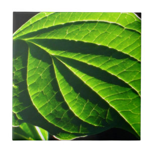 Cooles grünes Blatt Fliese