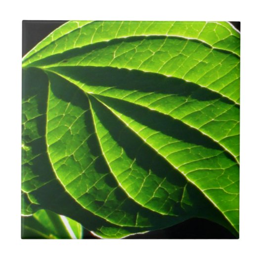 Cooles grünes Blatt Fliese (Vorderseite)