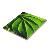 Cooles grünes Blatt Fliese (Seite)