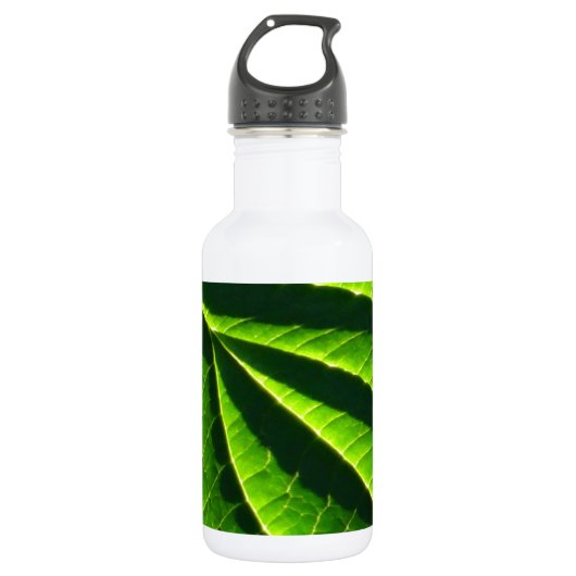 Cooles grünes Blatt Trinkflasche (Vorderseite)
