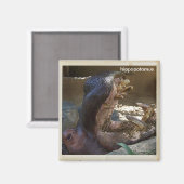 Cooles Hippopotamus Magnet! Magnet (Vorderseite/Rückseite)