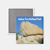 Cooles Joshua Tree Park Magnet! Magnet (Vorderseite/Rückseite)