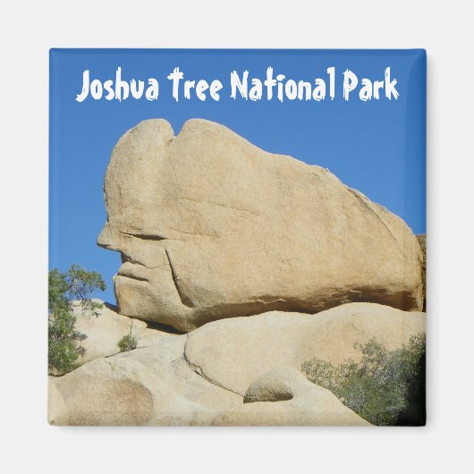 Cooles Joshua Tree Park Magnet! Magnet (Vorne)