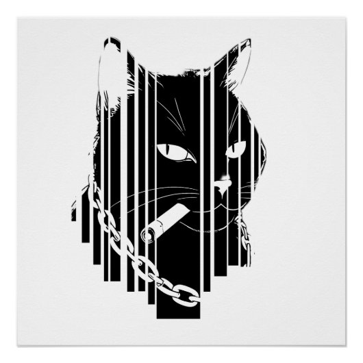Cooles Katzenbild Poster (Vorderseite)