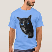 Cooles Katzengesicht mit blauen Augen auf schwarz