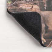 Cooles LöwenFoto Mousepad (Ecke)
