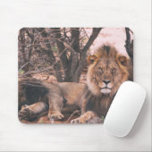 Cooles LöwenFoto Mousepad (Mit Mouse)