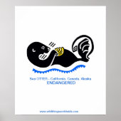 Cooles Meer - gefährdetes Tier - Poster (Vorne)
