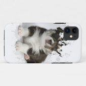 Cooles Puppy-Design Case-Mate iPhone Hülle (Rückseite (Horizontal))