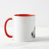 COOLES SANTA TASSE (Links)