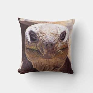 Cooles Schildkrötenkissen! Kissen