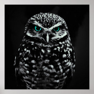 Cooles Schwarz-Weiß-Owl mit Zyanäten Poster