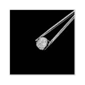 Cooles Sushi Gummistempel (Prägung)