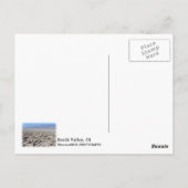Cooles Todetal Postkarte! Postkarte (Rückseite)