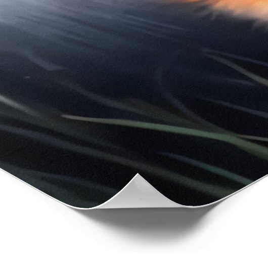 cooles und bezauberndes Rotfuchsportrait | Art der Poster (Ecke)