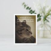 Cooles und sonniges Zimmer Willkommen Postkarte (Stehend Vorderseite)