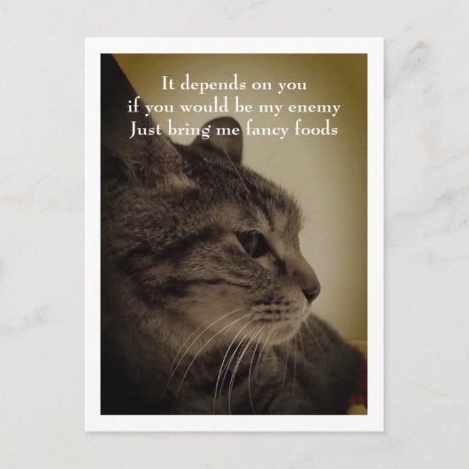 Cooles und sonniges Zimmer Willkommen Postkarte (Vorderseite)