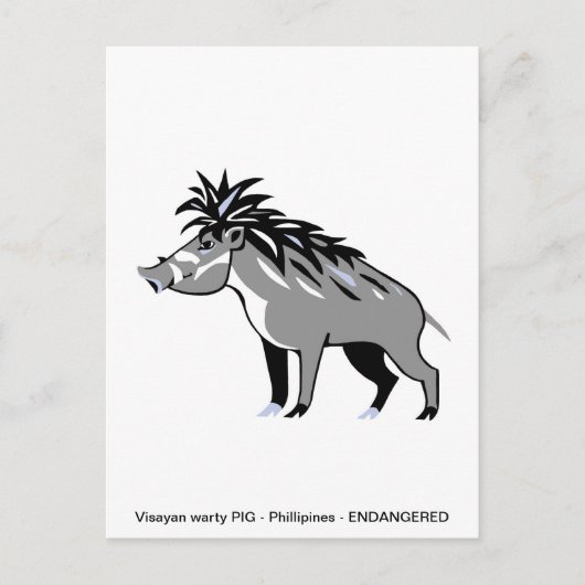 Cooles Visayan Warty PIG - Konservierung - Warthos Postkarte (Vorderseite)