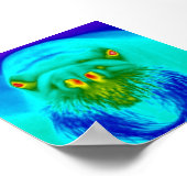 cooles Walrosen Poster (Ecke)