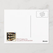 Cooles Weinland/Barrel Postkarte! Postkarte (Rückseite)