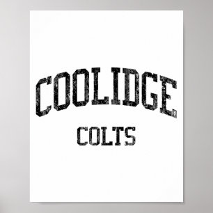 Coolidge High School Hs Washington Dc Vintage Spor Poster