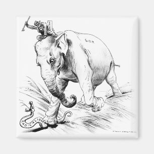 Coolidge-Radical Magnet