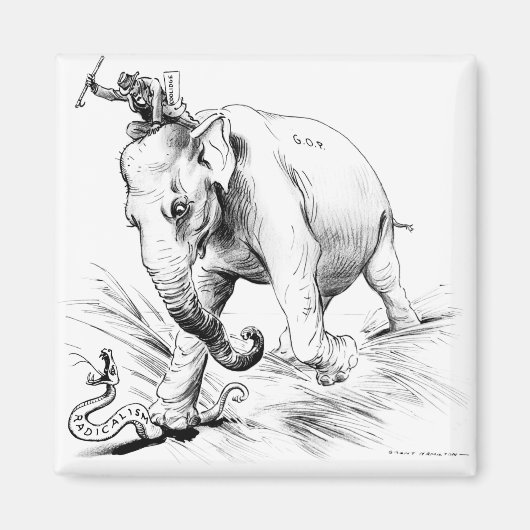 Coolidge-Radical Magnet (Vorne)